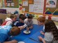 DSCF0229.JPG