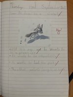 IMG_2278.JPG