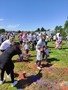 IMG_20220526_133742.jpg