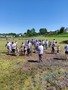 IMG_20220526_134256.jpg