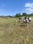 IMG_20220526_140240.jpg