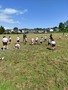 IMG_20220526_140748.jpg