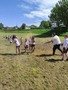 IMG_20220526_141043.jpg