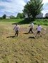 IMG_20220526_141213.jpg