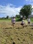 IMG_20220526_141302.jpg