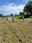 IMG_20220526_141324.jpg