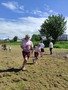 IMG_20220526_141426.jpg