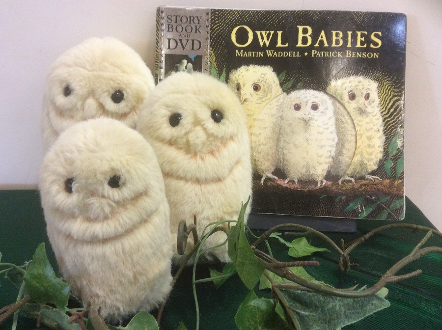 Owl babies store book and toy