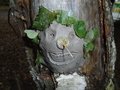 DSC01264.JPG