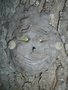 DSC01269.JPG