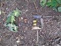 DSC01340.JPG