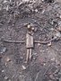DSC01335.JPG