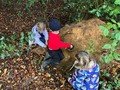 wk 6 forest school 3.jpg