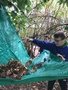 12090F4C-BF1A-4A0C-AA87-938304A911B5.jpeg