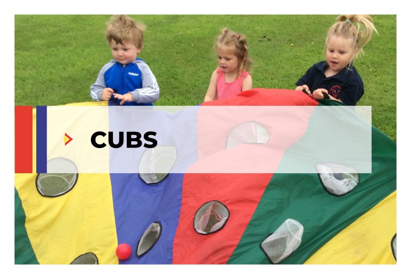 Cubs page link