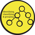 Identifying, classifying and grouping.png