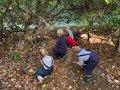 wk7 forest school 5.jpg