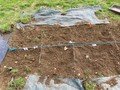 Dig site.jpg