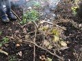 fires 8.jpg