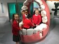 IMG_0120.jpeg