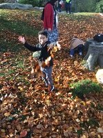 IMG_2223.JPG