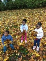 IMG_3379.JPG