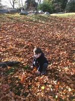 IMG_3417.JPG