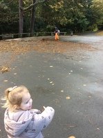 IMG_5396.JPG