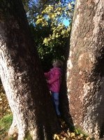IMG_9060.JPG