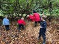 forest school nov 3.jpg