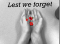 Library Photo (13).png