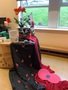 IMG_2873.jpeg