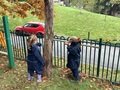 IMG_2564.jpeg