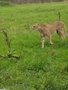 IMG_20221116_124826.jpg