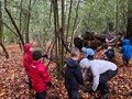 wk 4 forest school 3.jpg