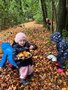 wk 4 forest school 9.jpg