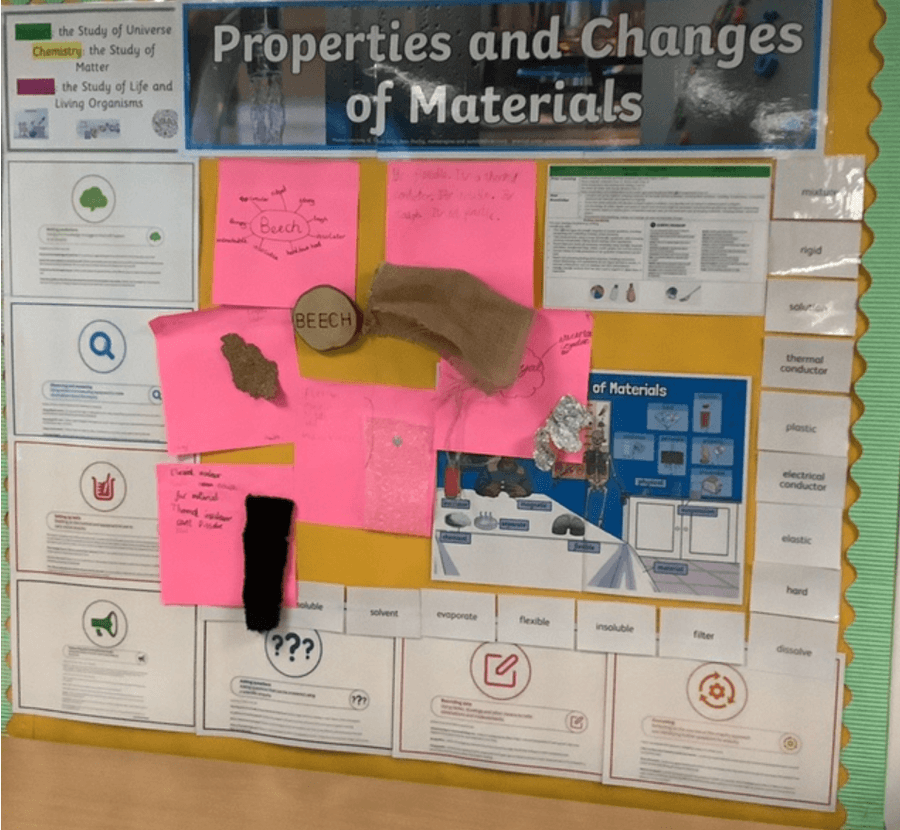Yew tree primary school science