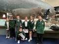 IMG_8171.JPG