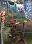 IMG_0037.JPG