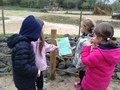 IMG_0053.JPG