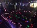 IMG_2656.JPG