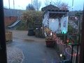 IMG_8261.JPG