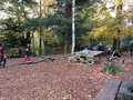 C2E18BB3-2551-4905-8CE5-14CA2BD3F123.jpeg