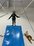 IMG_2987.jpg