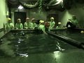IMG_1975.jpg