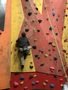 IMG_2709.jpg