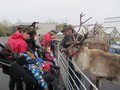 IMG_7173.JPG