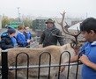 IMG_7185a.JPG