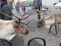 IMG_7192.JPG