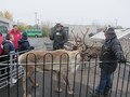 IMG_7199.JPG
